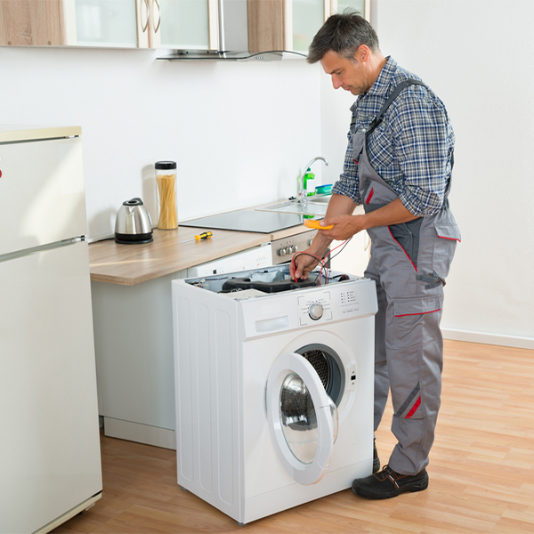 can you walk me through the steps of troubleshooting my washer issue in White Pine County